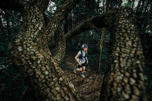 BIB: 
                            <button type="button" onclick="openModal(25682812)" class="btn btn-primary btn-sm float-right btn-popup" data-toggle="modal" data-target=".modal-high-quality">
                        <i class="fas fa-shopping-cart"></i> Add to Cart
                    </button>
                                            <button type="button" onclick="isThisMe(25682812, true)" class="btn btn-success btn-sm float-right btn-popup btn-isme hidden" data-toggle="tooltip" data-placement="bottom" title="นี่คือรูปของคุณใช่ไหม คลิกที่นี่เพื่อเอาเข้าอัลบั้ม">
                        <i class="fas fa-plus"></i> Add to album
                    </button>
                    <button type="button" onclick="isThisMe(25682812, false)" class="btn btn-warning btn-sm float-right btn-popup btn-isnotme hidden">
                        <i class="fas fa-ban"></i> Remove from album
                    </button>